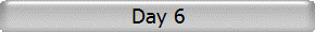 Day 6