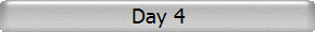 Day 4